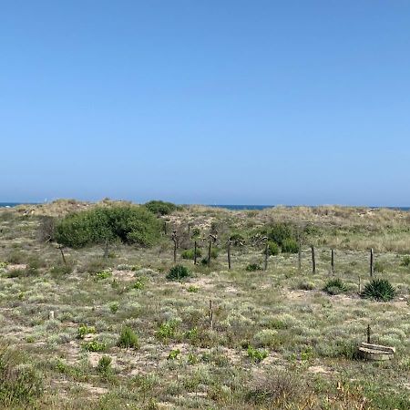 Mon Petit Paradis, Vue Sur Dunes Et Mer, Acces Direct Plage Robinson, Terrasse, Parking Prive, Tres Ressourcant, A Marseillan Plage Exterior foto